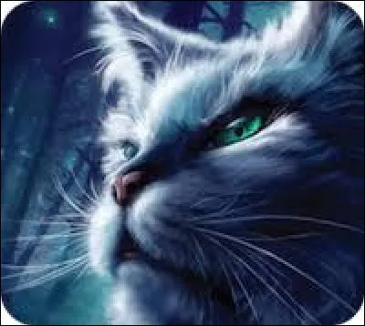 Si on te propose d'&ecirc;tre lieutenant, que fais-tu ?