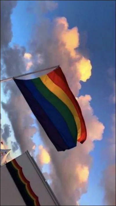 Quelle est ta sexualit&eacute; ?