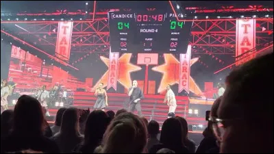 Quelle chanson Pierre interprète-t-il en duo avec Candice, au concert ?