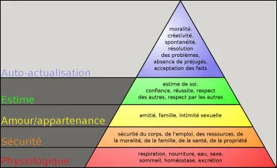 XXe s. > Les théories et concepts de soins, les courants de la "pensée infirmière" se multiplient au fil du temps. Dans les années 40, on s'intéresse à hiérarchiser les besoins avec notamment ... [...Complétez !...]