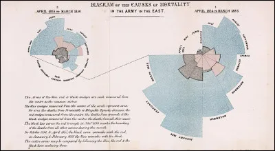 C'est une pionnière des soins infirmiers modernes qui [...Complétez !...]