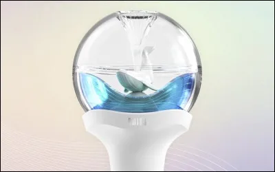 À quel groupe appartient ce lightstick ?