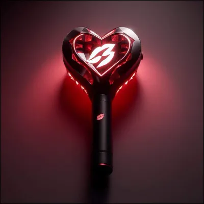 À quel groupe appartient ce lightstick ?
