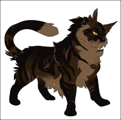 Combien a-t-il eu de chatons au total ?