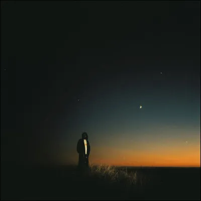 Quel est cet album de Destroy Lonely ?