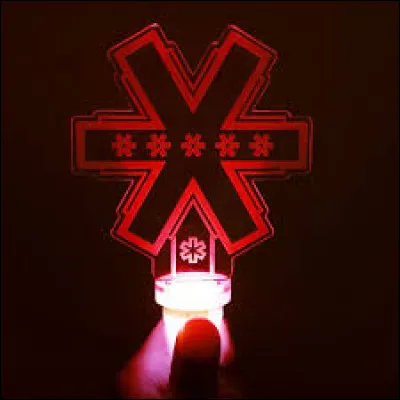 À quel groupe appartient ce lightstick ?