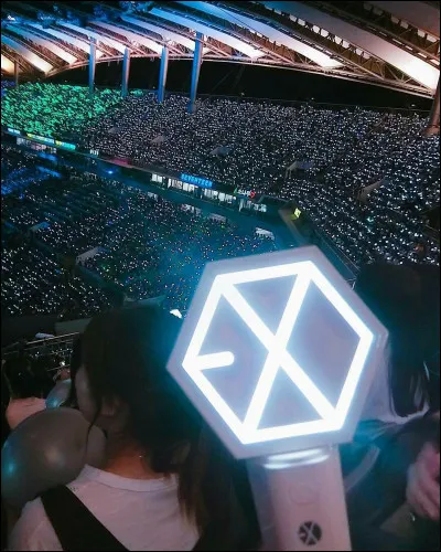 À quel groupe appartient ce lightstick ?