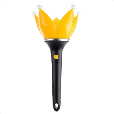 À quel groupe appartient ce lightstick ?