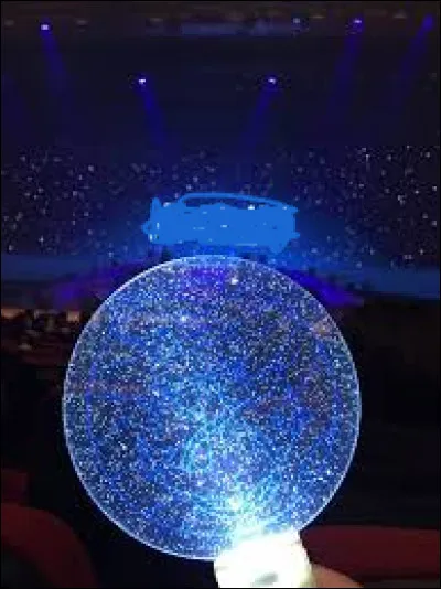 À quel groupe appartient ce lightstick ?