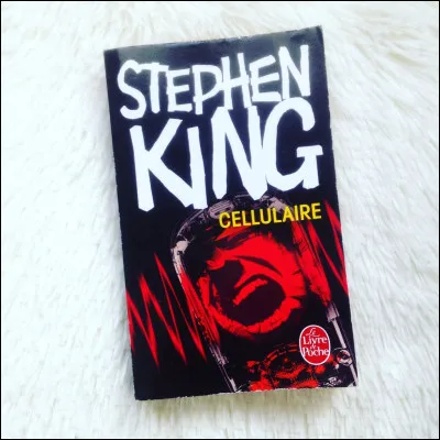 Il est recommandé de lire du Stephen King...