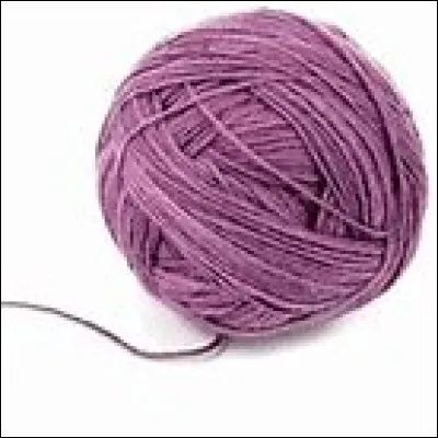 Que collectionne un scalaglobuphile ?