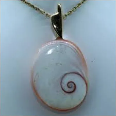 Quel opercule de mollusque minéralisé, par exemple monté en bijou, porte bonheur aux Corses ?