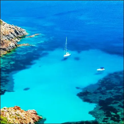 Quel poisson, qui nage près des côtes de la Méditerranée en été, possède une épine dorsale venimeuse ?