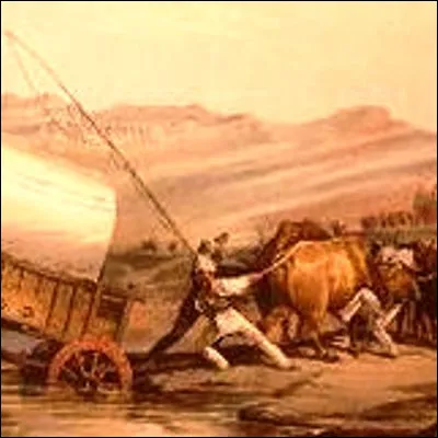 Quelle pratique sportive tire son nom dune migration effectuée par des Afrikaans ?