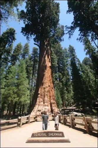 O se trouve cet endroit ?