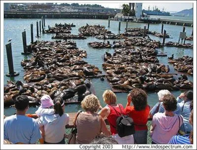 O se trouve cet endroit ?