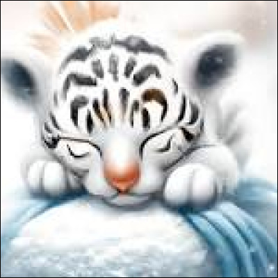 Quel est cet animal kawaii ?