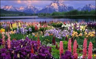 Quel est le plus haut sommet du monde ?