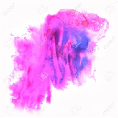 Quelle est ta couleur préférée ?