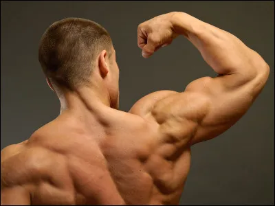 Es-tu fort mentalement et physiquement ?