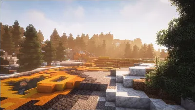 Tu dois perdre un sens, lequel ?