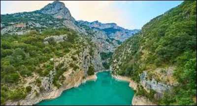 Quelles gorges se trouvent entre le Causse Méjean et le Causse de Sauveterre ?