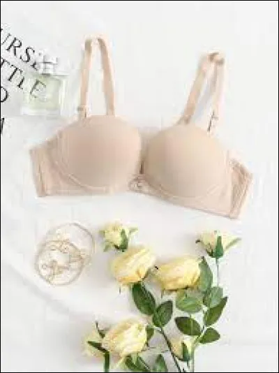 Quel mot n'est pas synonyme de "soutien-gorge" ?