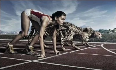 Lors d'une course de sprint, il est interdit de sortir de son couloir.