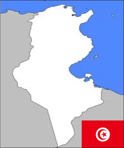 Quelle est la monnaie de la Tunisie ?