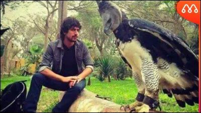 Roland souffla dans mon premier, mon second est deuxième dans la gamme, mon troisième est ici, mon quatrième est une ville suisse, mon tout est une relation réciproque !