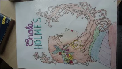 Combien de dessins se trouvent dans tes cahiers, folios ou livres ?