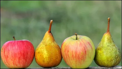 La "granny smith" est une variété de quel fruit ?