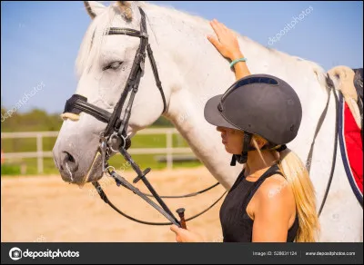 Que faut-il faire pour notre sécurité et celle du cheval ?