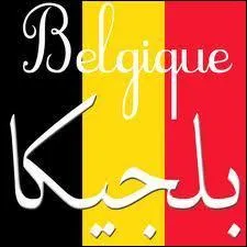Pourquoi les Belges ont-ils les frites, et les Arabes le ptrole ?