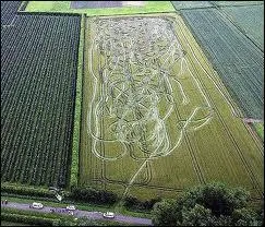 Qu'est-ce qu'un Belge arm dans un champ de bl ?