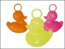 Pourquoi les Belges ont-ils arrt la chasse aux canards ?