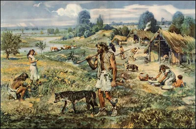 À quelle période la révolution néolithique a-t-elle eu lieu ?