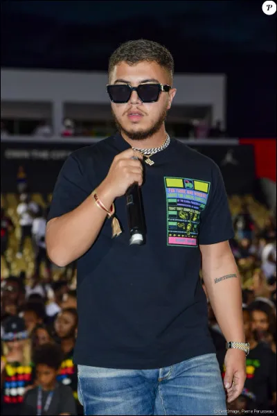 Combien d'apparitions a fait Hamza ?