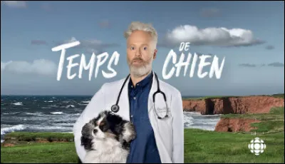 Que veut dire l'expression "un temps de chien" ?