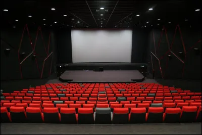 Quel est ton type de films ?