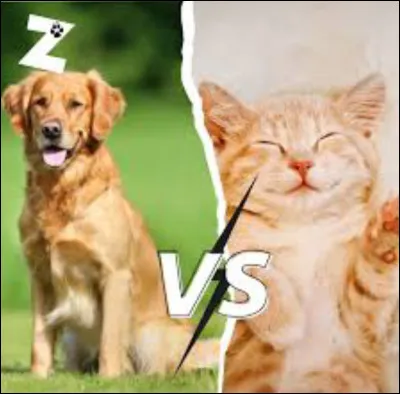Préfères-tu les chats ou les chiens ?