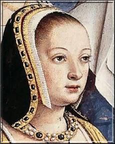 Louis XII pouse en secondes noces le 8 Janvier 1499  Nantesla veuve du prcdent roi de France. Qui est-ce ?