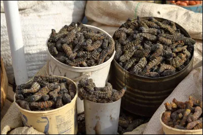 Dans quel pays pourrez-vous déguster des Gonimbrasia, chenilles séchées vendues en barquette ?