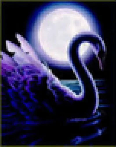 Dans le tome 4, quand Sophie et sa bande arrivent dans le Cygne Noir, Keefe décide de donner des surnoms à ses camarades. Dex est surnommé Matos, Biana Pif et Della Paf. Quel est le surnom qu'il donne à Fitz ?