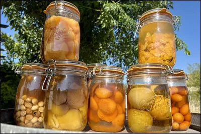 Le rhum arrangé est la boisson emblématique de quelle île ?