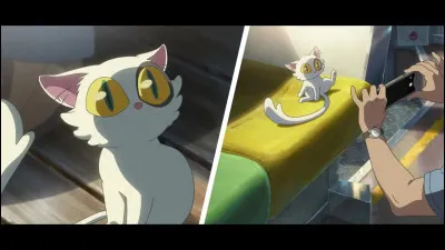 Qui est la Pierre de Voute ?