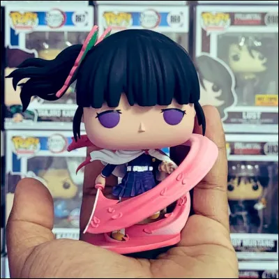 Comment s'appelle cette Pop ?