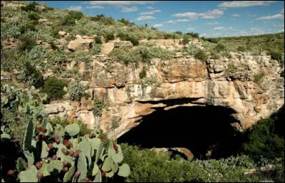 Le parc national de Carlsbad Caverns est situé dans les montagnes Guadalupe aux Etats-Unis. Dans quel Etat ?