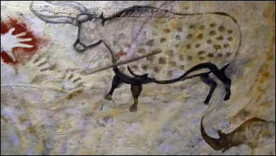 Quel ancêtre du buf était souvent représenté sur les parois des cavernes à la Préhistoire ?