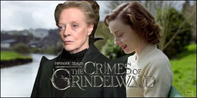 Qui interprète Minerva McGonagall ?